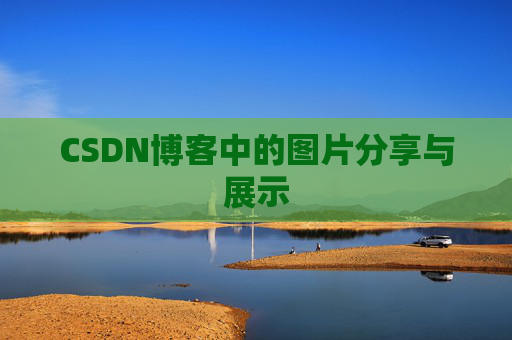 CSDN博客中的图片分享与展示